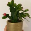 Kerst box - Image 3