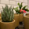 Kerst box - Image 5