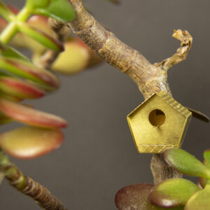Tiny Birdhouse for plants