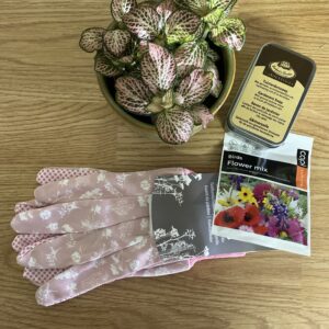 Planten abonnement 🌿✨